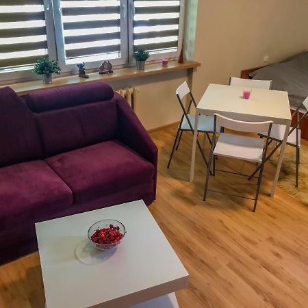 Puławy Cosy Studio In Quiet Location מראה חיצוני תמונה
