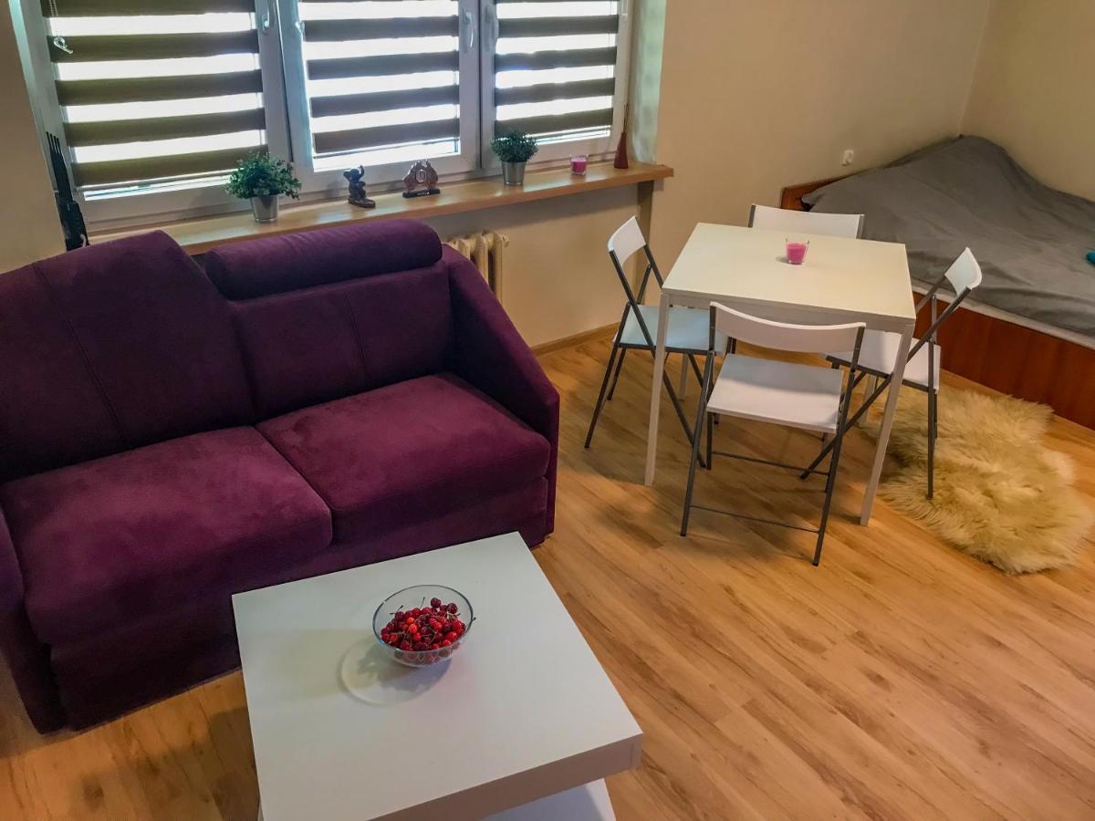 Puławy Cosy Studio In Quiet Location מראה חיצוני תמונה